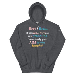 They/Them pronouns trans Hoodie in Heather Gray