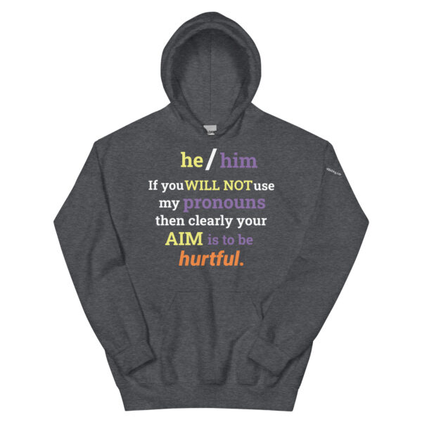 he/him pronouns non-binary hoodie in heather gray